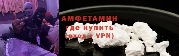 ПСИЛОЦИБИНОВЫЕ ГРИБЫ Ельня