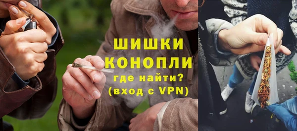 ПСИЛОЦИБИНОВЫЕ ГРИБЫ Ельня